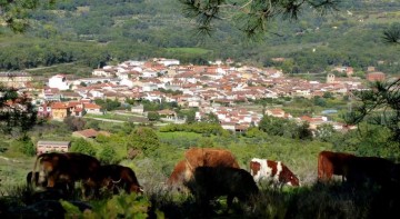 Apartamentos Rurales Entre Fuentes