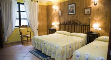 Hotel Rural Soterraña