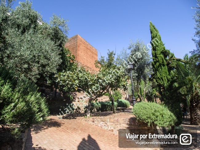 Olivar de la Judería en Cáceres