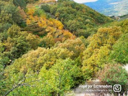 Los tesoros del Ambroz y el Jerte (II)