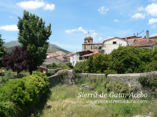 Acebo. Sierra de Gata. Extremadura