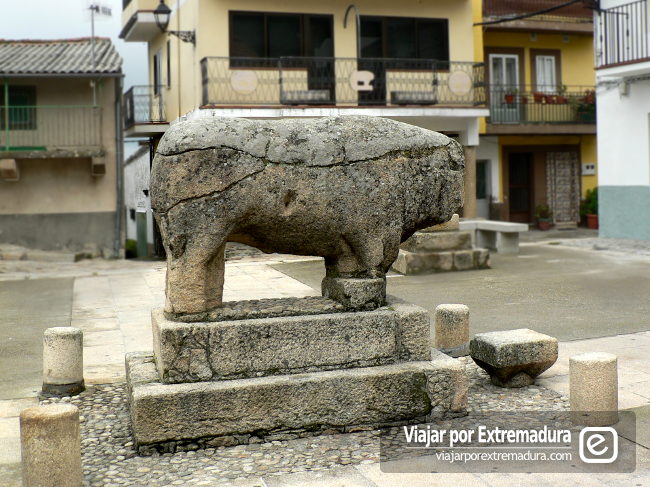 Verraco vetón en Segura de Toro