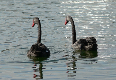 Parque natural de Berlanga