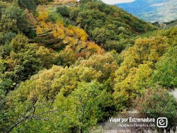 Visitando los pueblos del Valle del Jerte