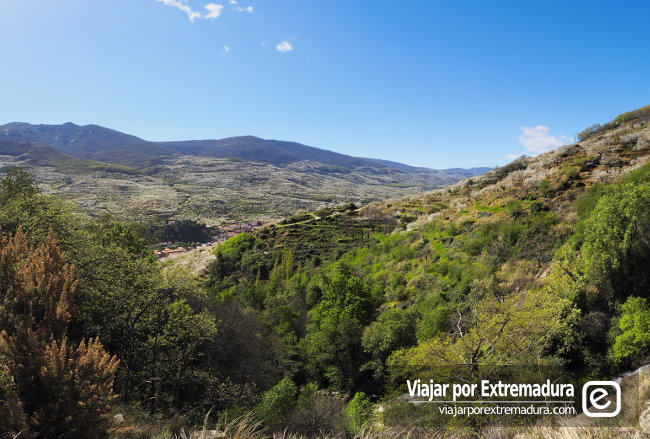 Garganta de las Nogaledas. Valle del Jerte