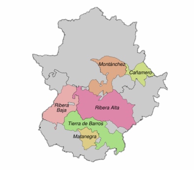 Enoturismo en Extremadura - Comarcas vitivinícolas Ribera del Guadiana