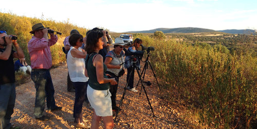 Turismo activo. BirdingNaturaleza.com Observación de aves