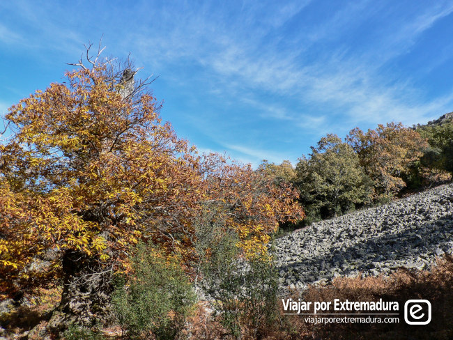 Pedreras de la garganta de Calabazas