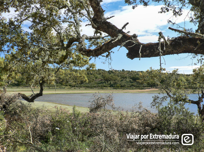 Parque Natural de Cornalvo. Ruta bordeando el embalse de Cornalvo