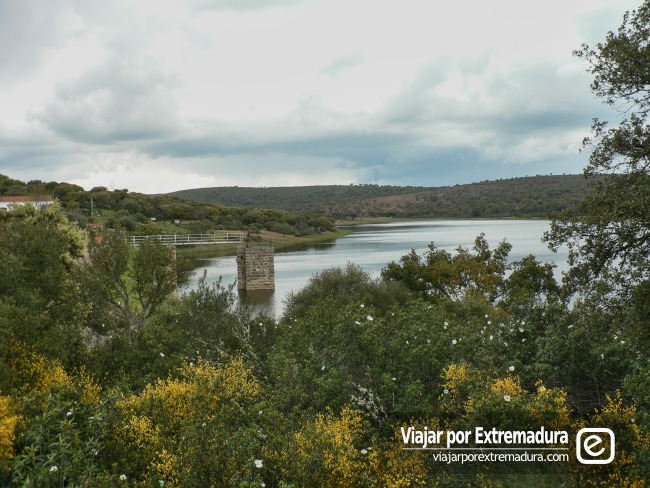 Vegetación y zona de dehesa en Cornalvo