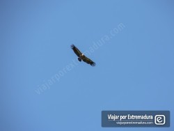 Sierra de San Pedro