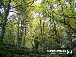 El Otoño Mágico en el Valle del Ambroz