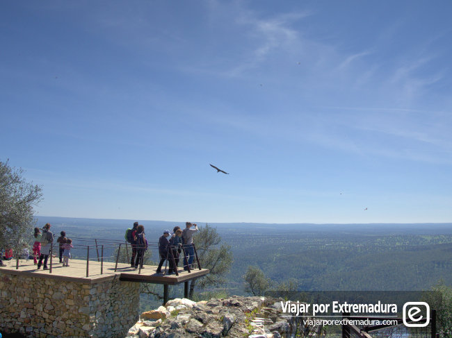 Birdwatching en Extremadura. Parque Nacional de Monfragüe