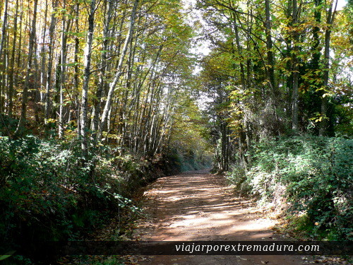 Ruta a la Chorrera de Calabazas. Geoparque Villuercas-Ibores-Jara