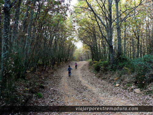 Chorrera de Calabazas. Geoparque Villuercas-Ibores-Jara