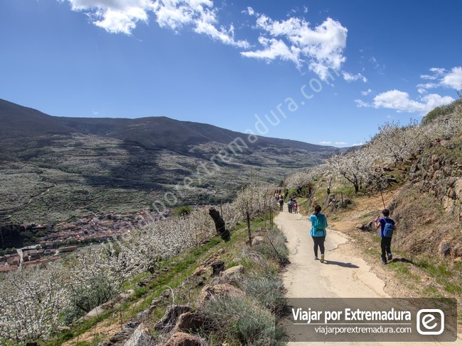 Ruta de las Cascadas de las Nogaledas