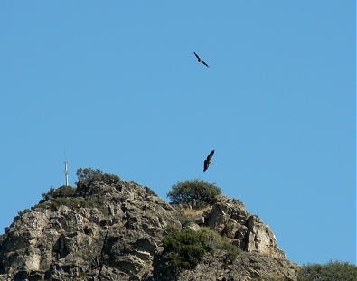 Senderismo en Extremadura. Cueva de la Mora. Buitres.