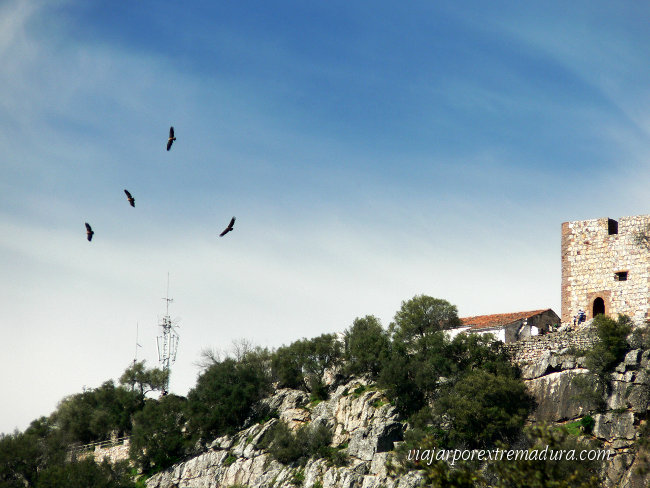 Turismo Extremadura. Parque Nacional de Monfragüe