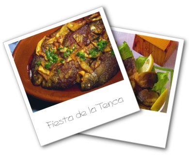 Fiesta de la Tenca